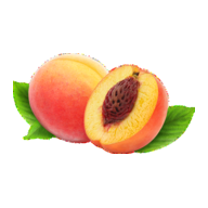 Persikas